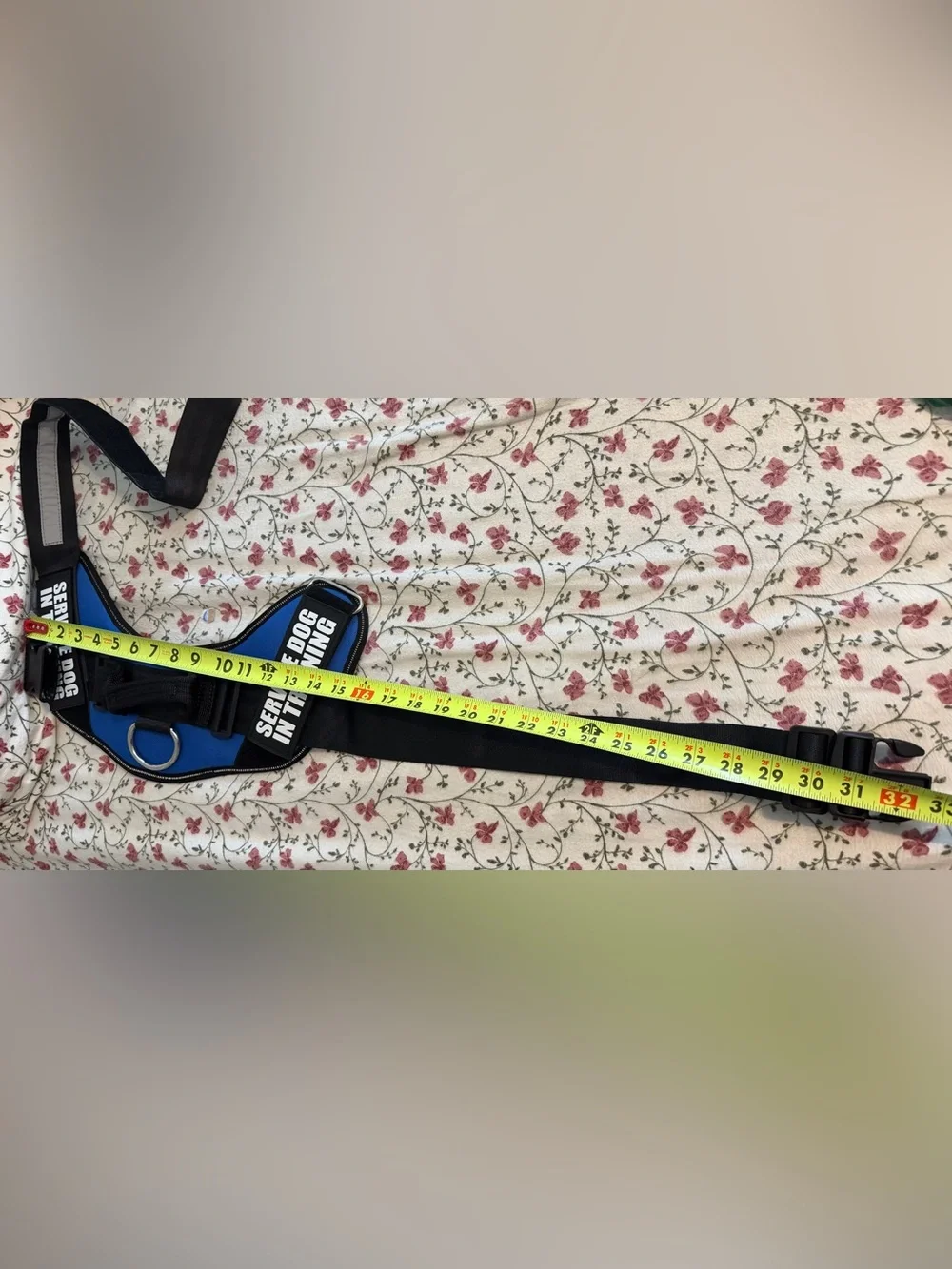 Service Dog in Training Harness - Blue-XL